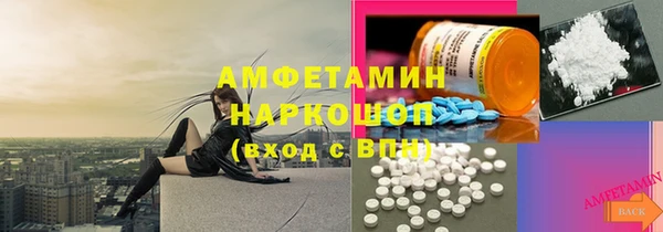 стаф Алексин