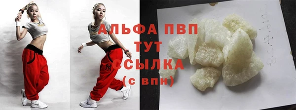 стаф Алексин