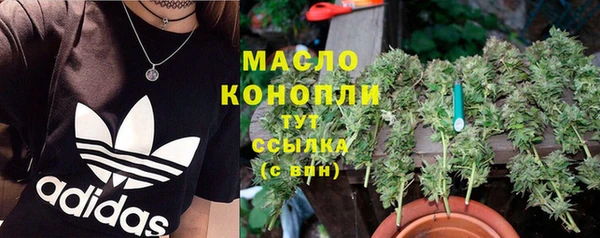 гашик Россошь