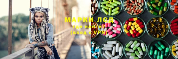 стаф Алексин