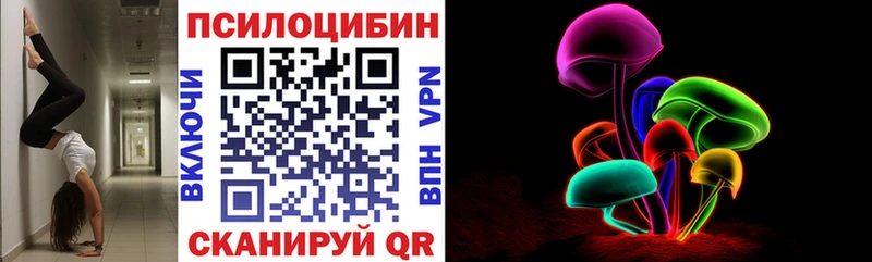 omg ссылка Болхов Псилоцибиновые грибы Psilocybine cubensis закладки